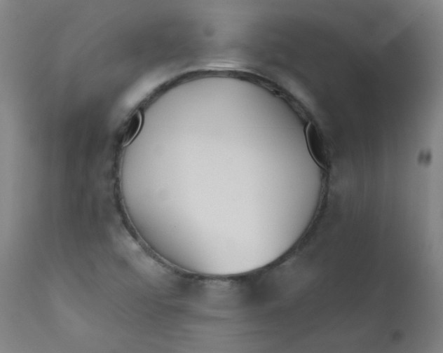 X0000112181456200909041218