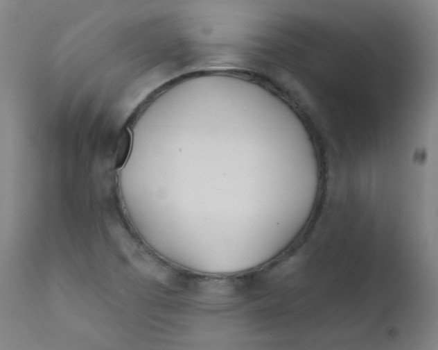 X0000112181457200909041218