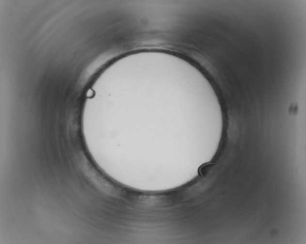 X0000112181458200909041218