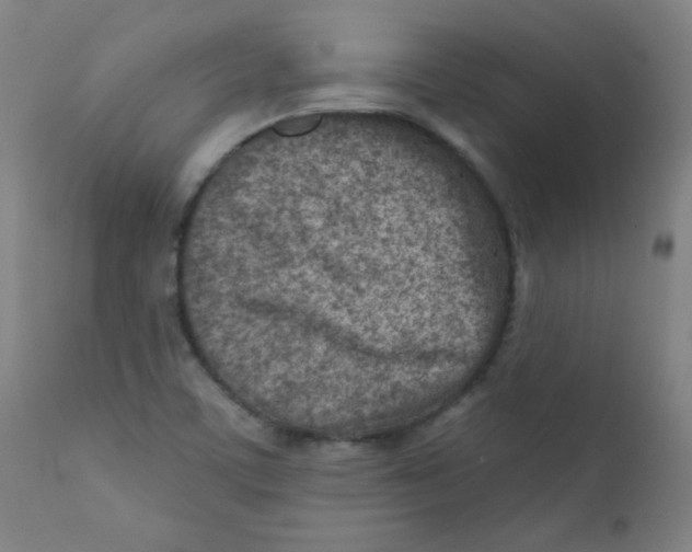 X0000112181459200909041218