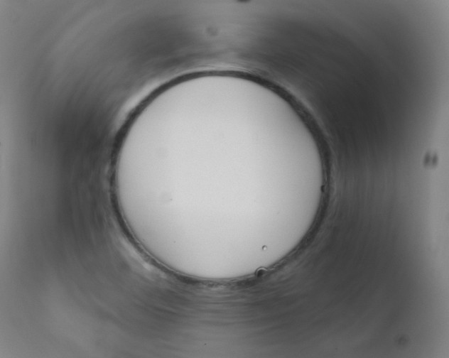 X0000112181460200909041218