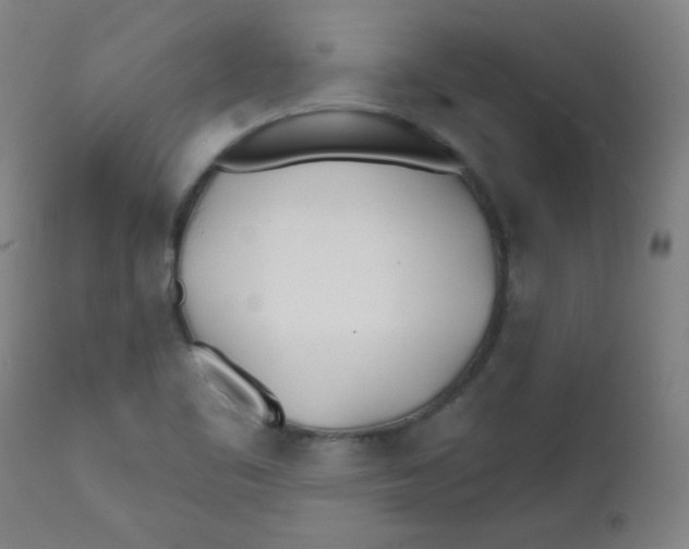 X0000112181461200909041218