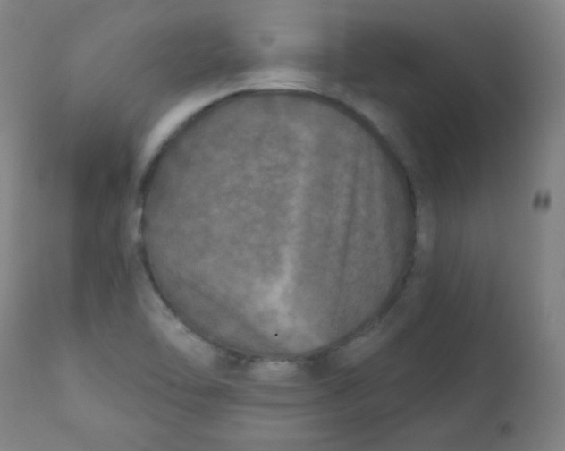 X0000112181462200909041218