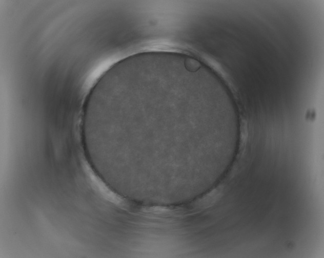 X0000112181463200909041218