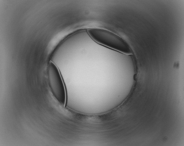 X0000112181464200909041218