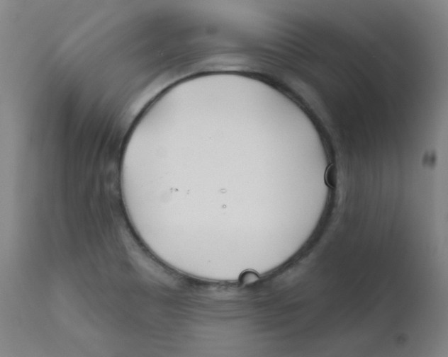 X0000112181465200909041218