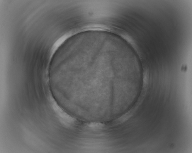 X0000112181466200909041218