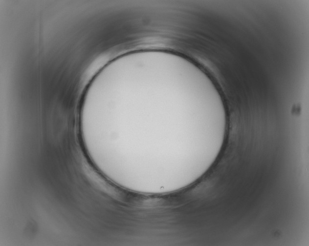 X0000112181467200909041218