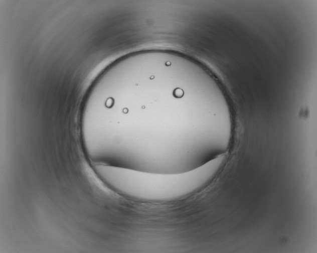 X0000112181468200909041218