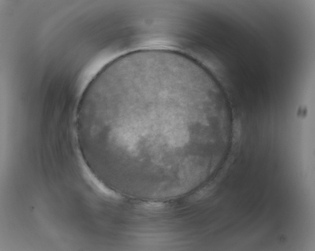 X0000112181470200909041218