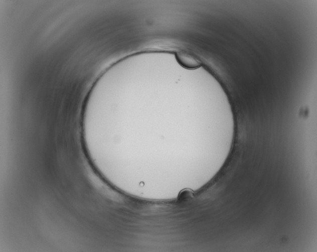X0000112181471200909041218
