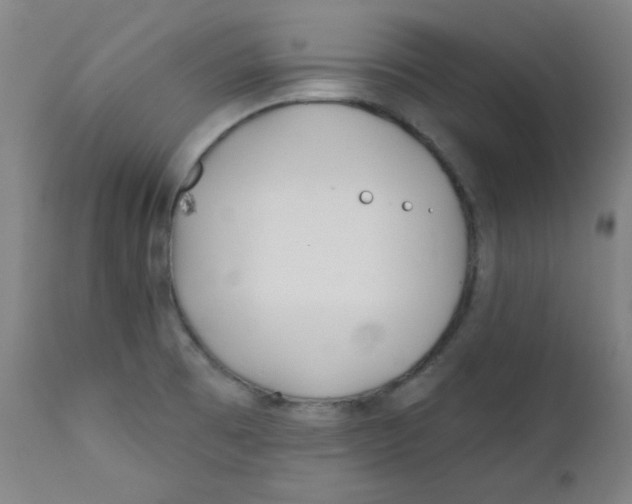 X0000112181473200909041218