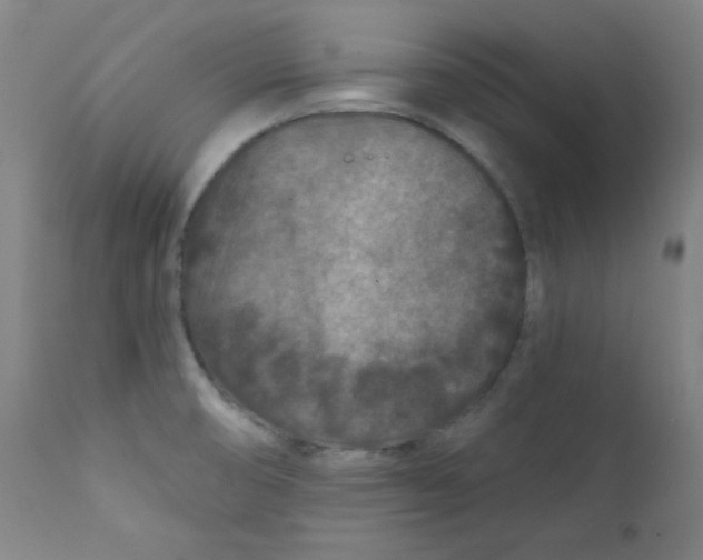 X0000112181474200909041218