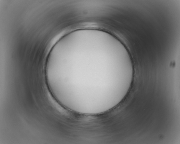 X0000112181475200909041218