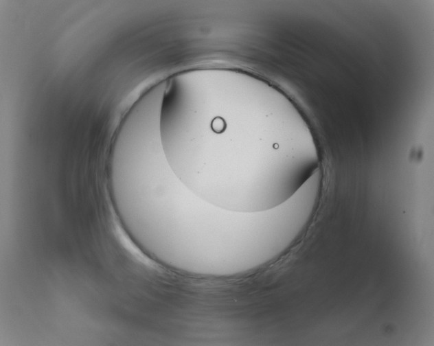 X0000112181476200909041218