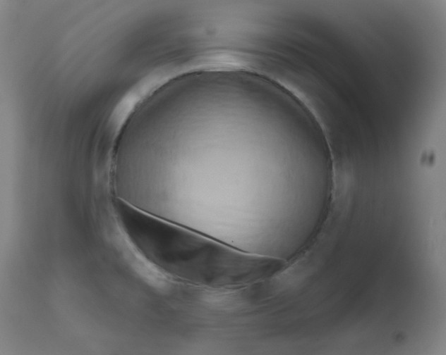 X0000112181477200909041218