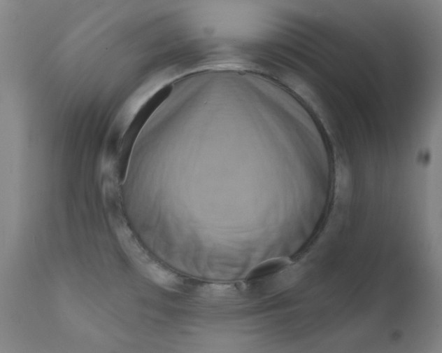 X0000112181481200909041218