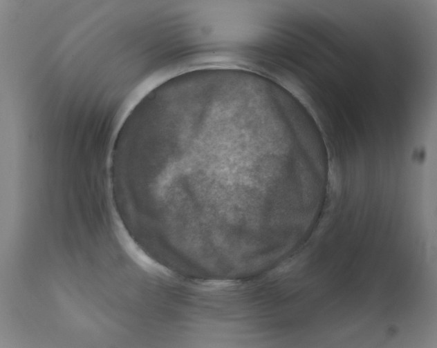 X0000112181482200909041218