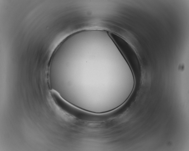 X0000112181484200909041218