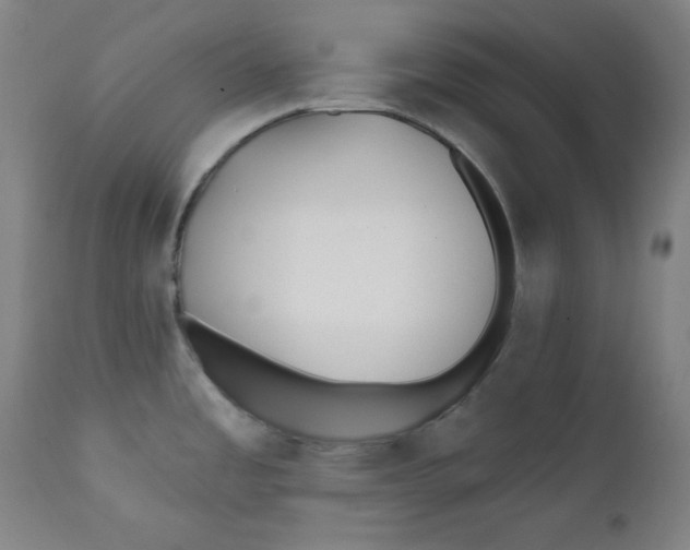 X0000112181485200909041218