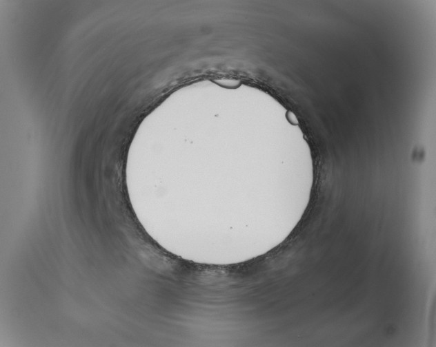 X0000112181489200909041217