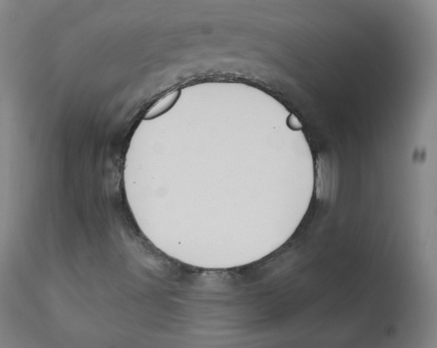 X0000112181491200909041217