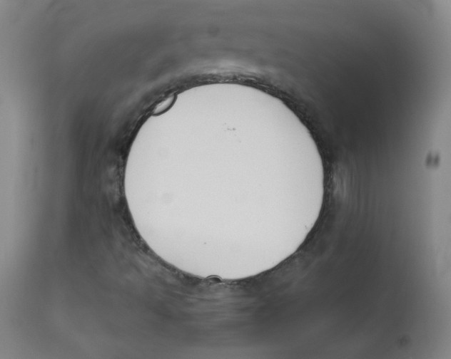 X0000112181493200909041217