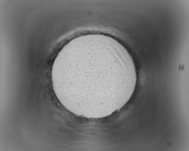 X0000112181494200909041217