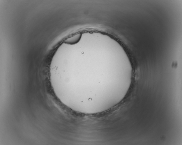 X0000112181496200909041217