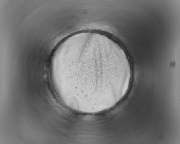 X0000112181497200909041217