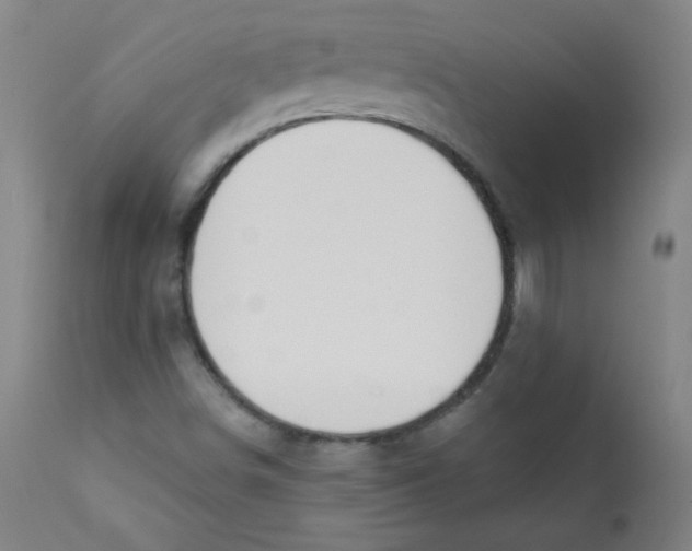 X0000112181498200909041217