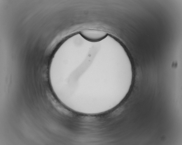 X0000112181499200909041217