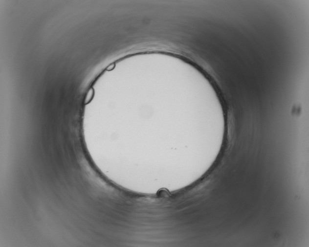 X0000112181500200909041217