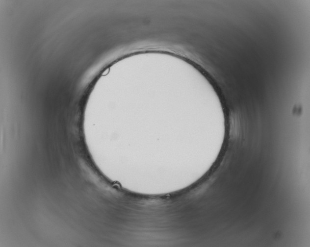 X0000112181502200909041217