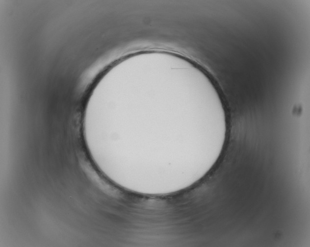 X0000112181503200909041217