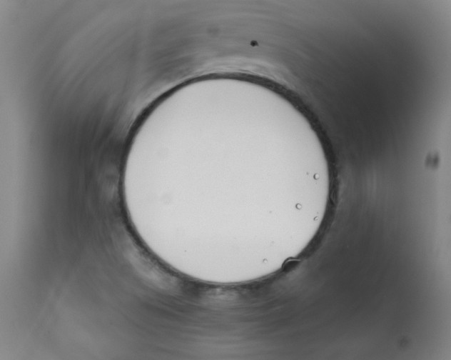 X0000112181505200909041217