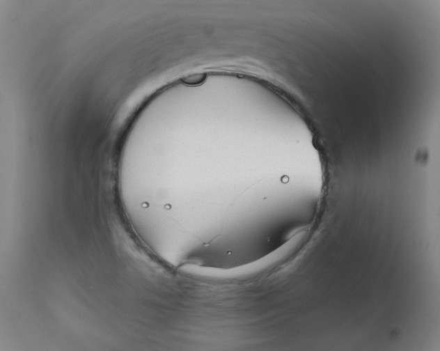 X0000112181506200909041217