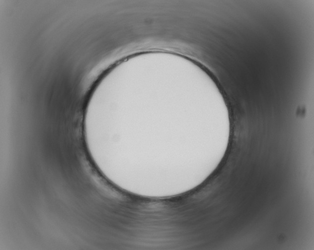 X0000112181507200909041217