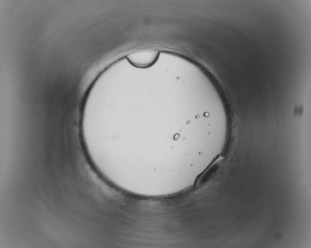 X0000112181508200909041217