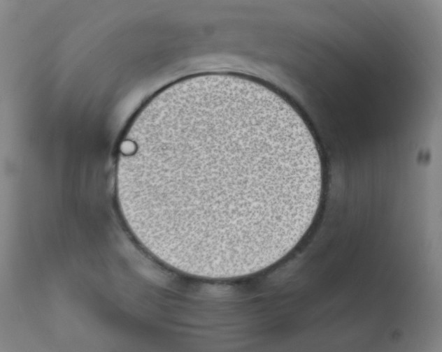 X0000112181509200909041217