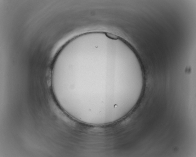 X0000112181510200909041217