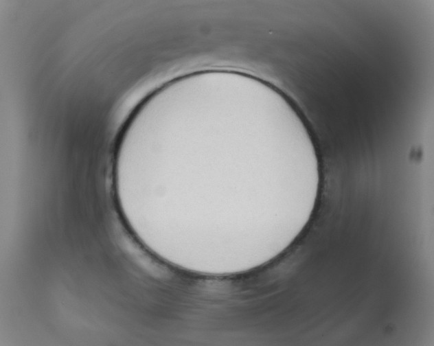 X0000112181511200909041217