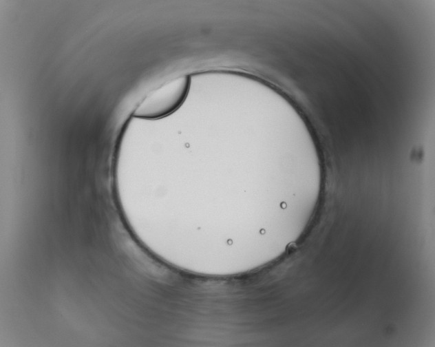 X0000112181512200909041217