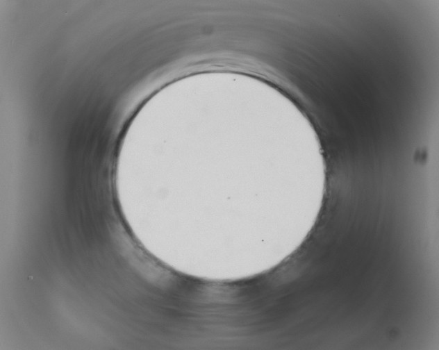 X0000112181514200909041217