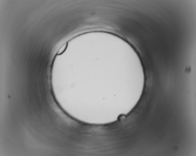 X0000112181516200909041217