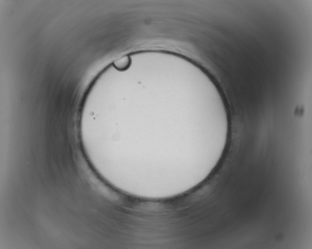 X0000112181517200909041217