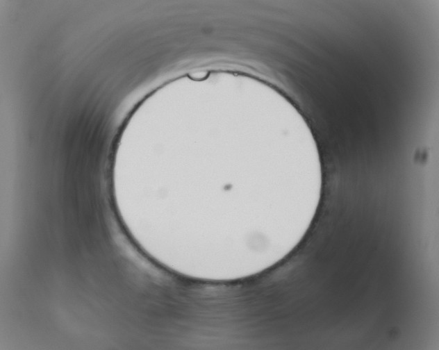 X0000112181518200909041217