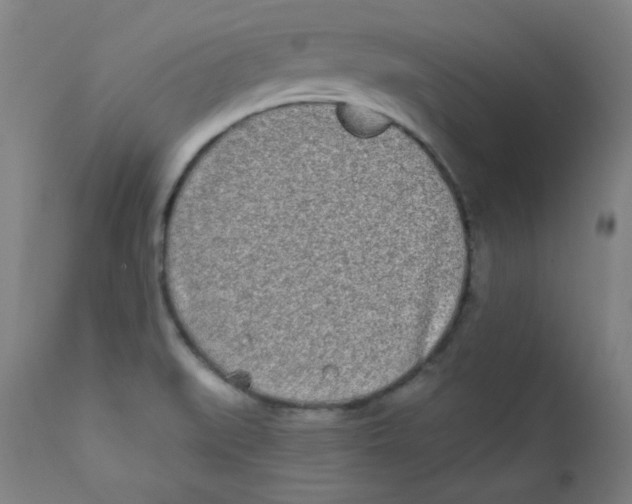 X0000112181519200909041217