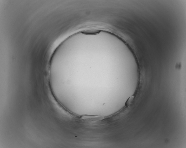 X0000112181520200909041217