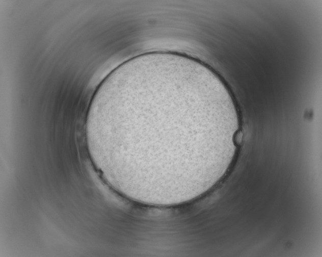 X0000112181521200909041217